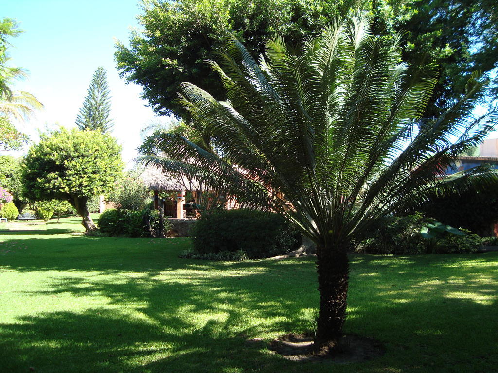 Casa Marly Otel Xochitepec Dış mekan fotoğraf